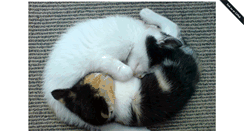 Desktop Screenshot of emergencykitten.com
